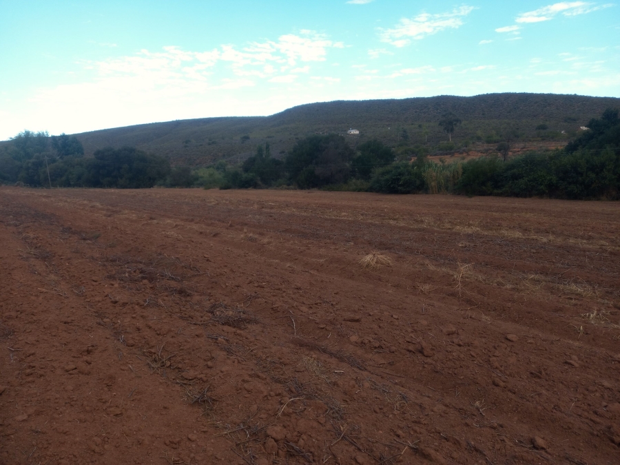 Commercial Property for Sale in George Rural Western Cape
